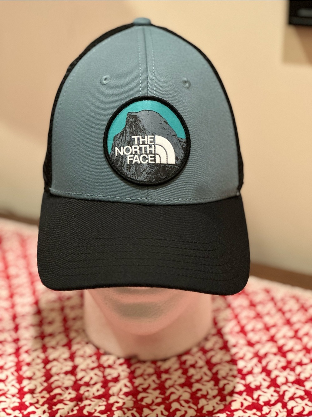 The North Face Mudder Trucker Hat in Slate Gray and Black